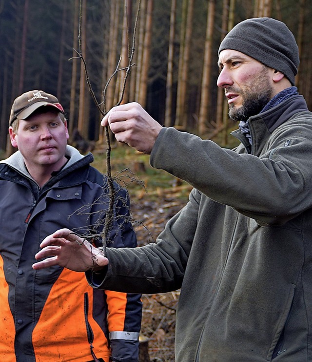 Stadtfrster Gabriel Hieke erklrt, worauf es beim Pflanzen der Bume  ankommt.   | Foto: Bernadette Andr