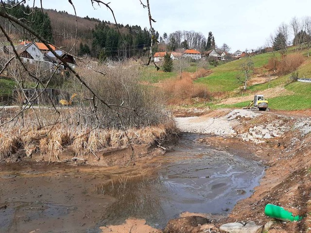 Der Flachwasserbereich (rechts) ist wieder aufgeschttet.  | Foto: Rolf-Dieter Kanmacher