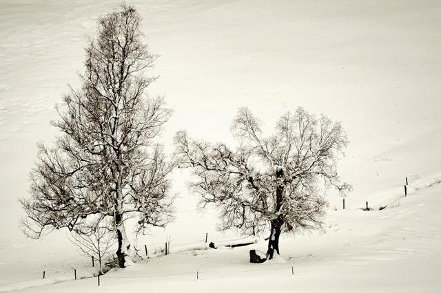 Winterliches Gastspiel