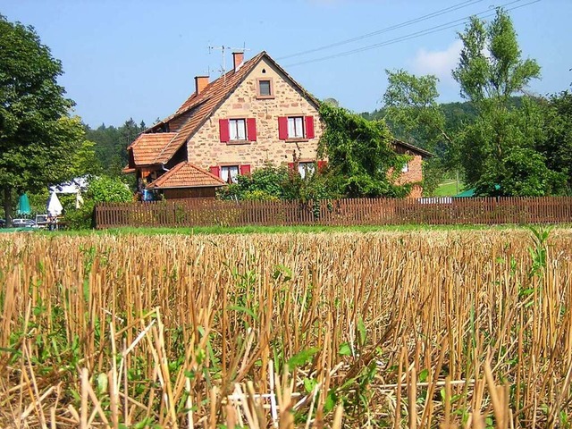 In einer Lichtung gelegen und von Obst...sthaus &#8222;zum Stilzerfritz&#8220;.  | Foto: Gerhard Walser