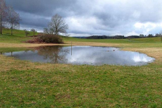 Der Eichener See ist wieder mit Wasser gefllt