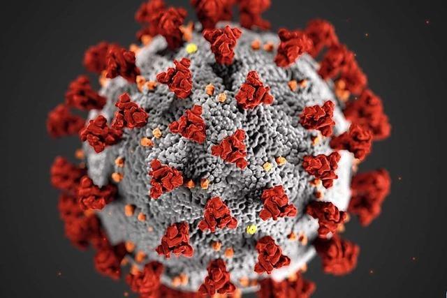Newsblog: Alle Nachrichten zum Coronavirus in Emmendingen