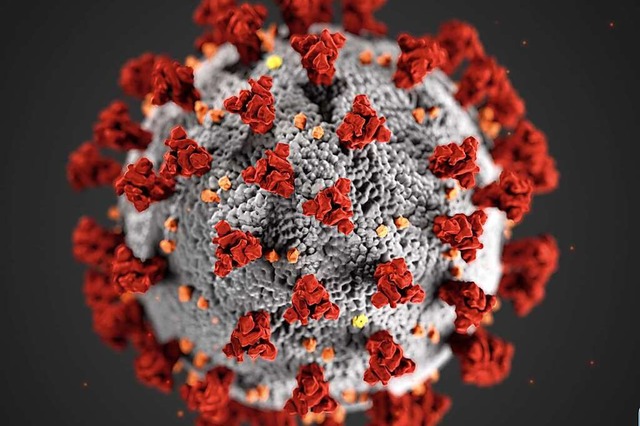 Das Coronavirus (Illustration) sorgt auch in Sdbaden fr Unsicherheit.  | Foto: Cdc (dpa)