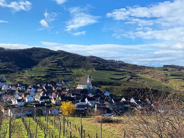 In den Reben ber Kiechlinsbergen  | Foto: Michaela Breisacher