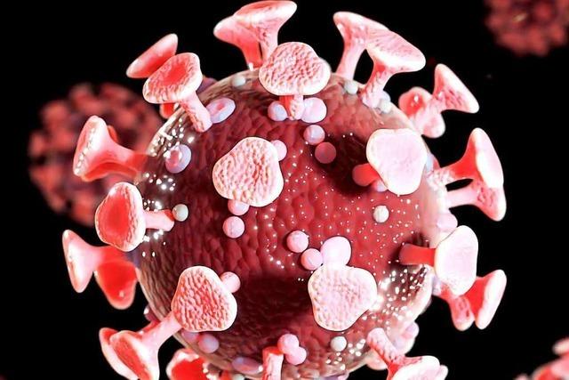 Erster Todesfall mit Coronavirus in Baden-Württemberg bestätigt