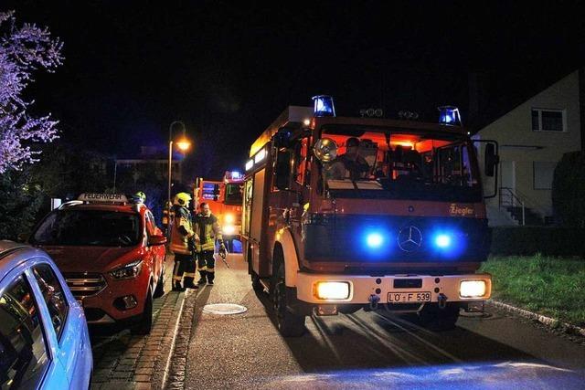 Feuer im Grenzacher Emilienpark schnell gelscht