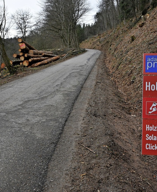 Schmal und mit einem gefhrlichen Graben: die Strae am Allmendsberg.  | Foto: Benedikt Sommer