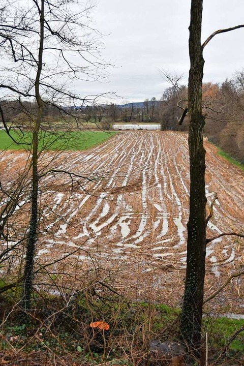 Auf der anderen Seite der Strae wrde... gerne ein weiteres Gebiet entwickeln.  | Foto: Sebastian Krger