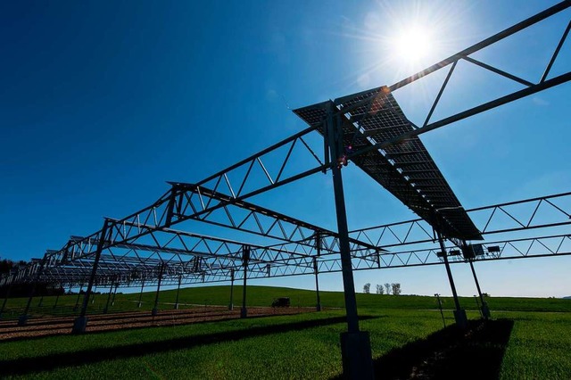 Die Solarmodule werden in fnf Metern ...d darunter noch bestellt werden kann.   | Foto: Patrick Seeger