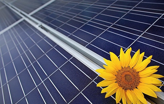 Ringsheim legt ein neues Fotovoltaik-Frderprogramm auf.  | Foto: Patrick Pleul