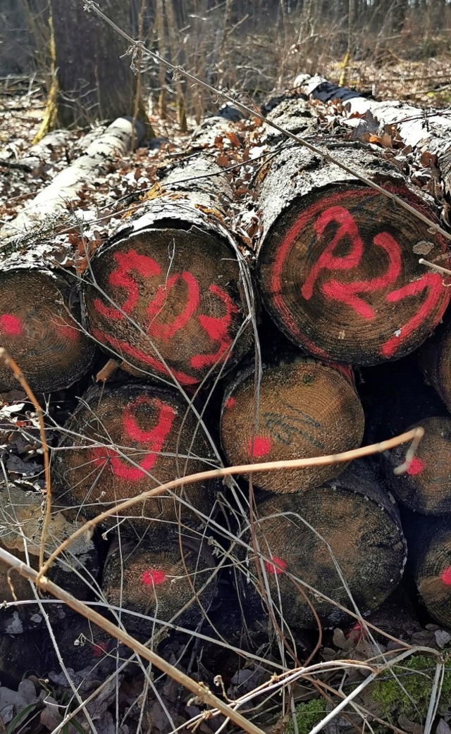 Die Stadt vermarktet das Brennholz nic...-Meter-Stcken direkt am Waldrand an.   | Foto: Christa Maier