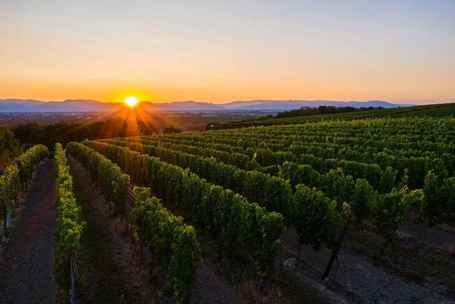 Abendstimmung bei Sasbach.  | Foto: Heike Scheiding-Brode