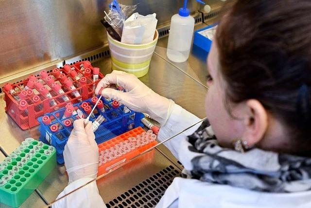 Wegen Coronavirus-Tests steht ein Labor in Freiburg unter Volldampf