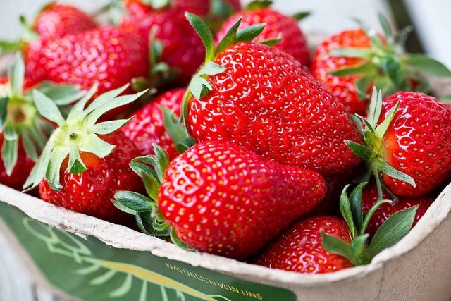 Die Corona-Krise zeigt: Erdbeeren  ern...ekommen, ist nicht selbstverstndlich.  | Foto: Mike Brombacher