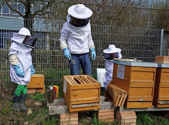 Imker Andreas Zeibert zeigt Zisch-Reporter Levin (links) seine Bienen.   | Foto: privat