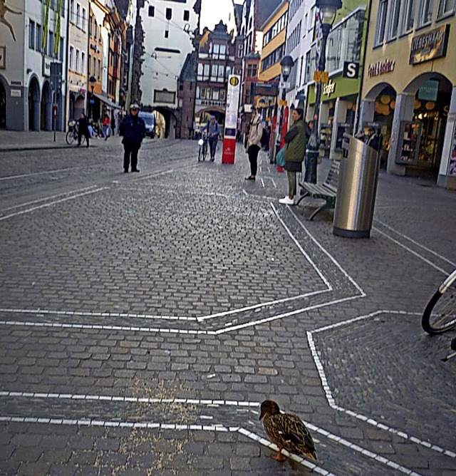 <BZ-FotoAnlauf>Federvieh:</BZ-FotoAnlauf> Vorne Ente, ganz hinten Zeitung   | Foto: Kilian Wolters