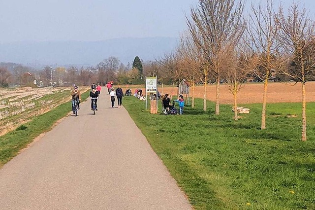 Radfahrer und Spaziergnger bevlkerten am Samstag die Wege rund um Rheinfelden.  | Foto: Heinz und Monika Vollmar