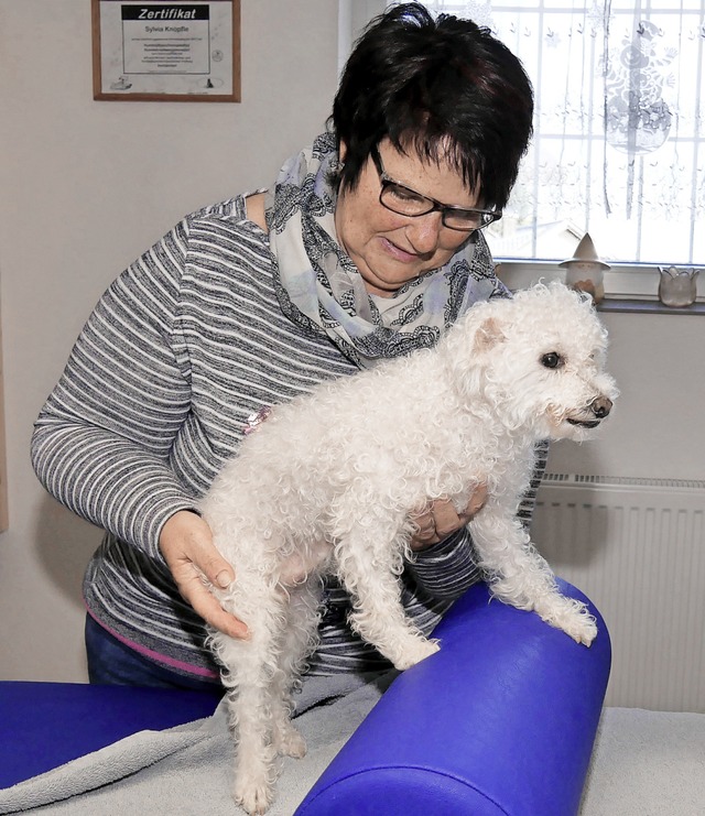 Sylvia Knpfle macht mit Hndin Espe K...ngen fr ihr Hinterbein an der Rolle.   | Foto: Eva Korinth