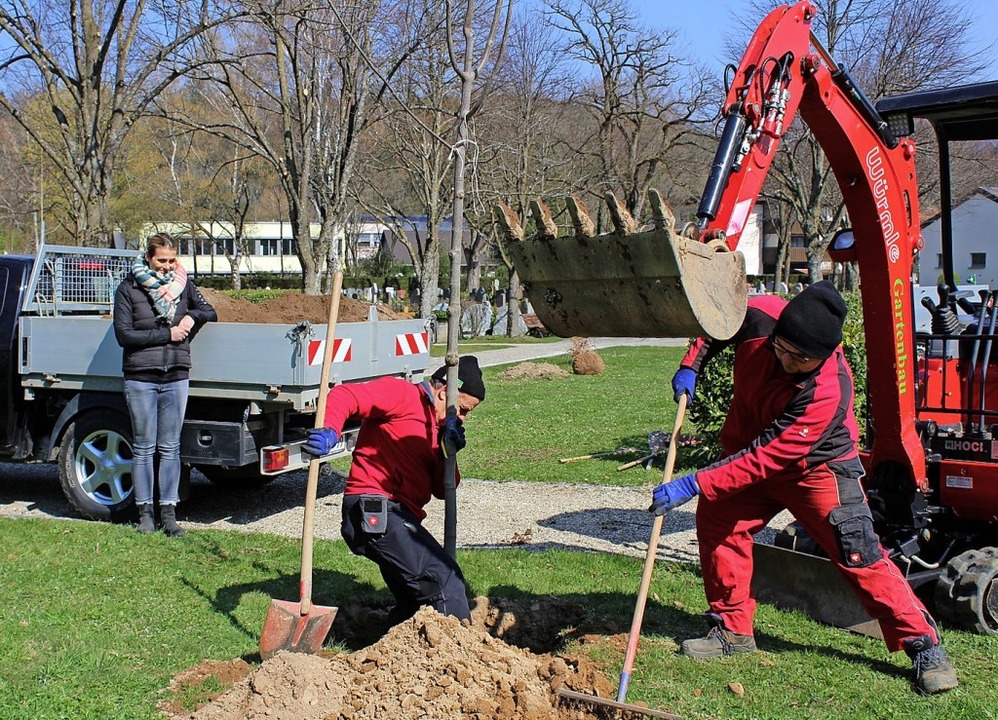 In Stegen wurden Bume auf dem Friedhof gepflanzt.   | Foto: Erich Krieger