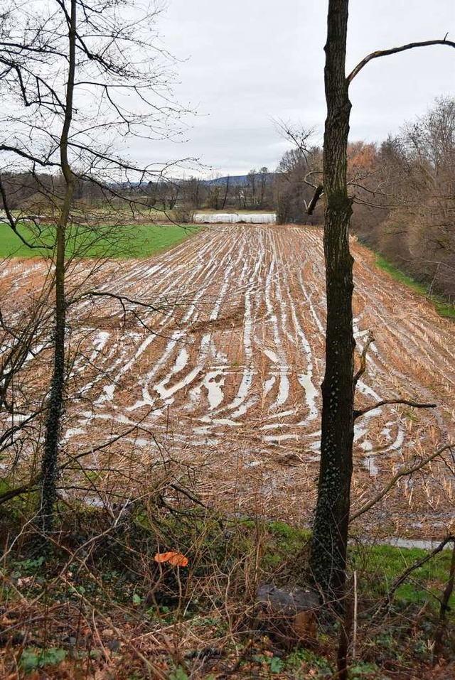 Auf diesem Acker wrden die Gemeinden ...urg gerne ein Gewerbegebiet errichten.  | Foto: Sebastian Krger