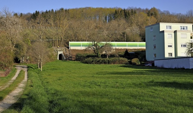 Sobald alle Grundstckseigner zugestim...22;Rheinstrae Nord&#8220; festsetzen.  | Foto: Jutta Schtz