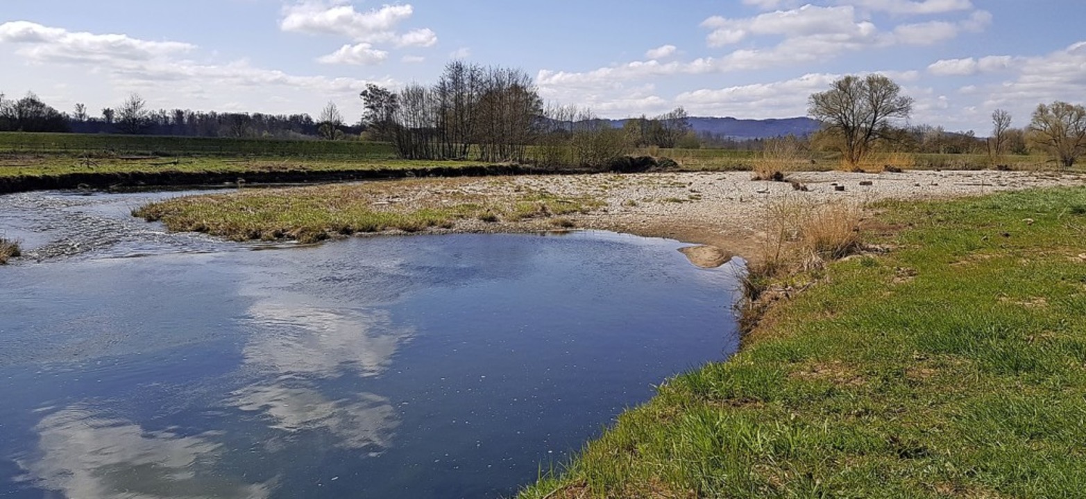 Der Fluss erfindet sich immer wieder neu Kreis Emmendingen Badische