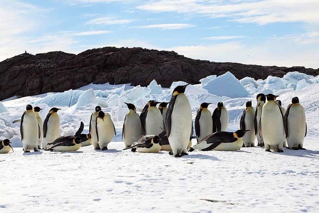 Die Erwrmung der Erdatmosphre auf we... wurden in der Antarktis fotografiert.  | Foto: Stephanie Jenouvri (dpa)