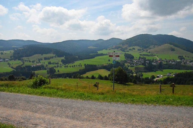 Auf der Flche links des Schildes sollte das Gebude gebaut werden.  | Foto: Sebastian Barthmes