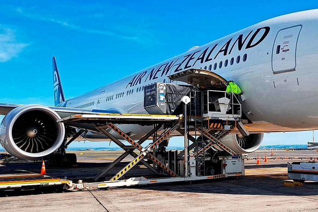 Mit einer Boeing 777-300 kamen die ers... ber Vancouver zurck nach Frankfurt.  | Foto: - (dpa)