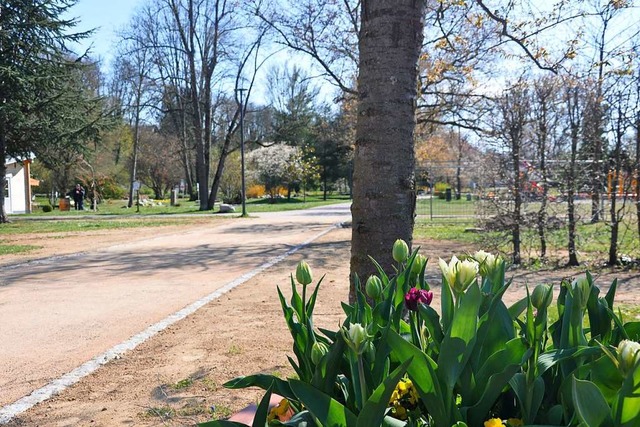 Es blht &#8211; im Kurpark in Bad Bel...men zu sehen und keine Baustelle mehr.  | Foto: Jutta Schtz