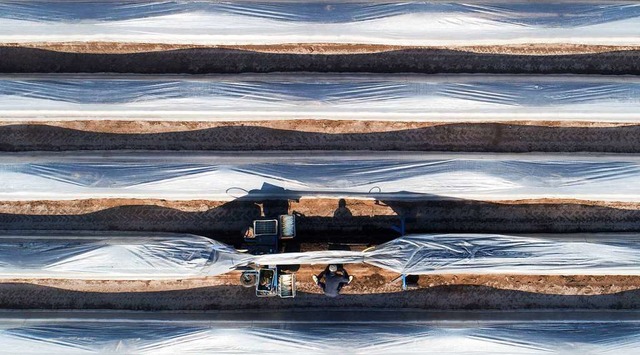 Rumnische Saisonarbeiter drfen ausreisen.  | Foto: Julian Stratenschulte (dpa)