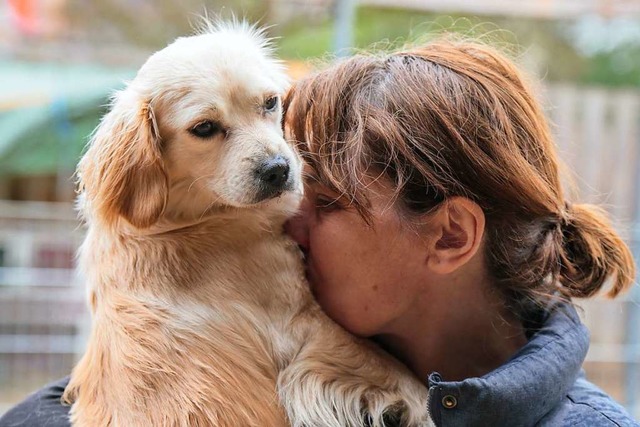 Ziel des Vereins ist es, den Tieren ein liebevolles Zuhause zu vermitteln.  | Foto: Sandra Decoux-Kone