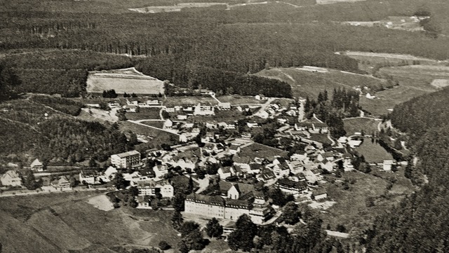 Ein Luftbild von Friedenweiler aus dem Jahr 1973   | Foto: Liane Schilling