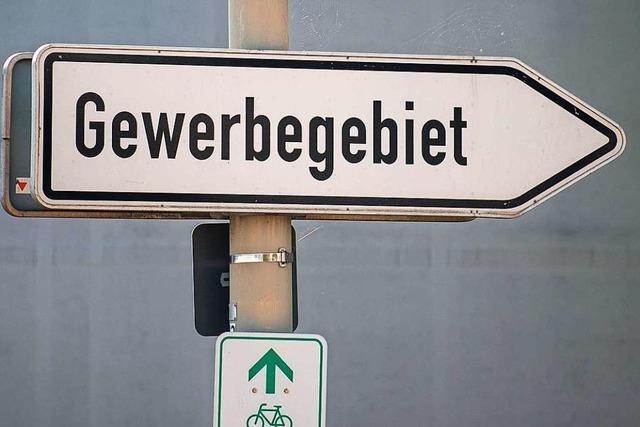 Parteien streiten über mögliches neues Gewerbegebiet in Gundelfingen