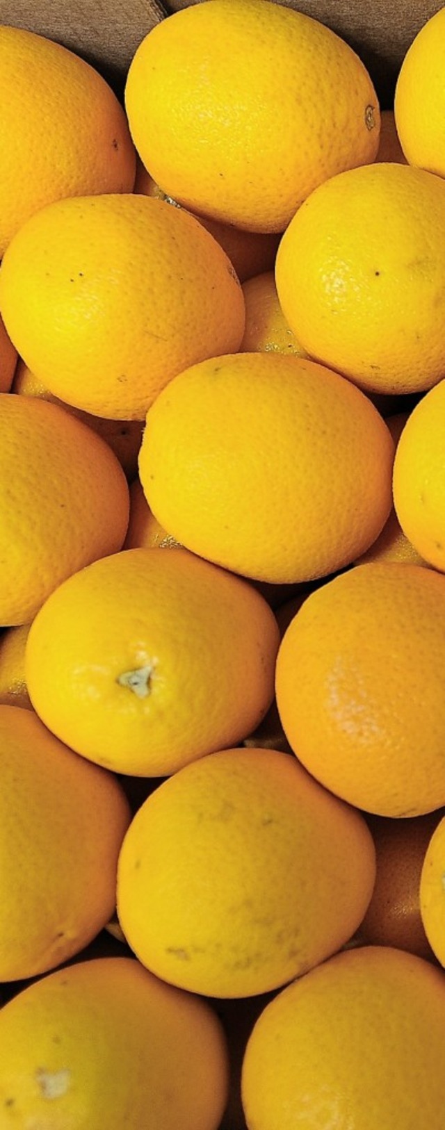 Orangen &#8211; ein spanischer Exportschlager  | Foto: Ingo Schneider