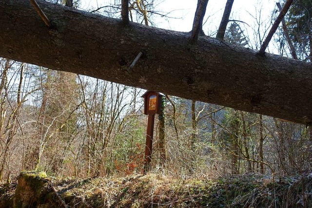 Ganz ohne Hrden ist der Kreuzweg derz... fllt zum ersten Mal unter dem Kreuz.  | Foto: Martha Weishaar