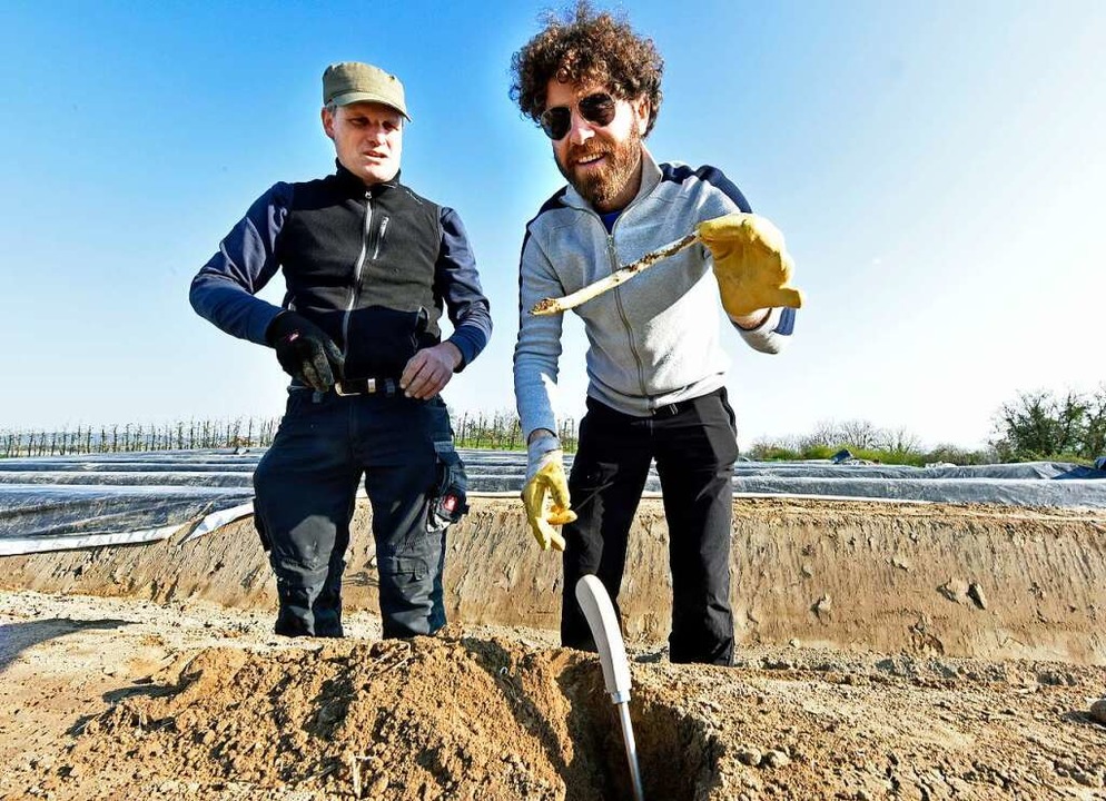Der Opfinger Spargelbauer Martin Linse...dakteur Fabian Vgtle, wie man sticht.  | Foto: Michael Bamberger
