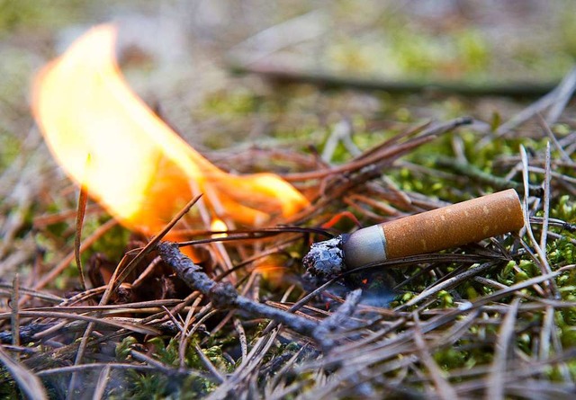 Im Wald herrscht Rauchverbot  | Foto: Patrick Pleul