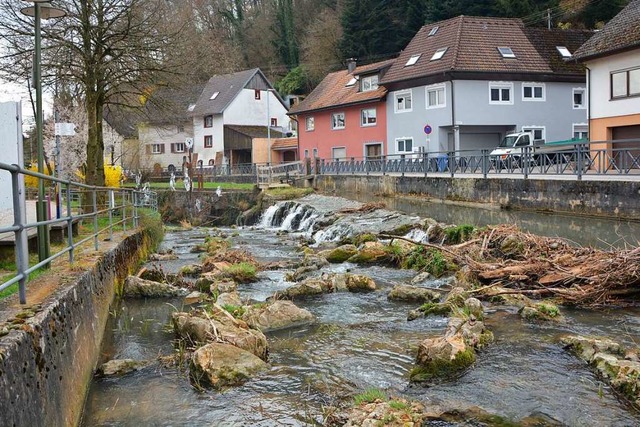 Die raue Rampe im Dorfbach, Rheinfelde...schtreppe, wie Reichert-Moser erklrt.  | Foto: Ralf H. Dorweiler