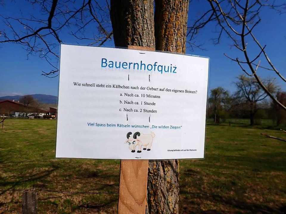 <ppp> unter anderem beim Bauernhofquiz</ppp>  | Foto: Jutta Geiger
