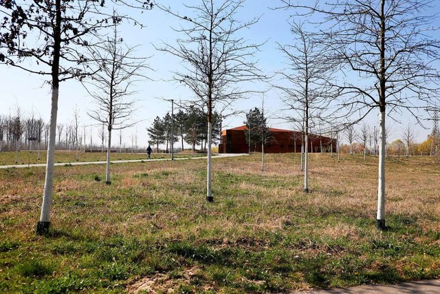 Das Haus am See im Seepark. Dort,  wo ...hen, soll ein Parkplatz gebaut werden.  | Foto: Christoph Breithaupt