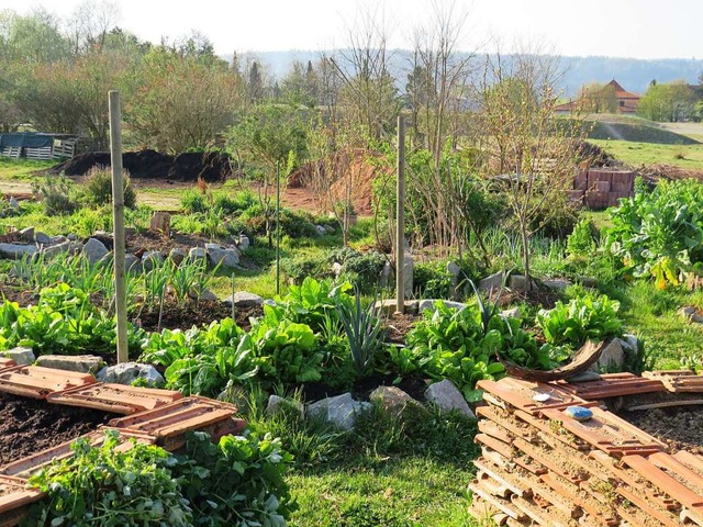 Ein kleines Paradies: das Stadtgrtle  | Foto: Claudia Gempp