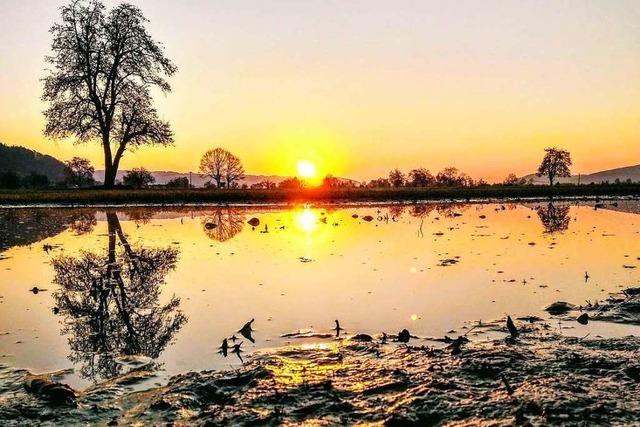 Fotos: In diesen wunderschnen Bildern halten unsere Leser den Frhling fest