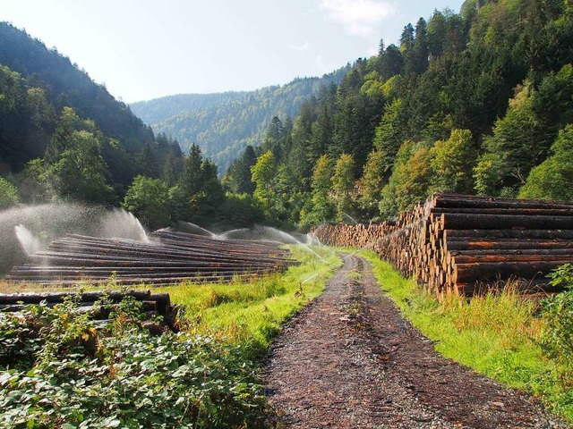 Ein solches Nasslager wurde in Oberrie...dlingsbefall zu schtzen (Archivbild).  | Foto: Markus Donner