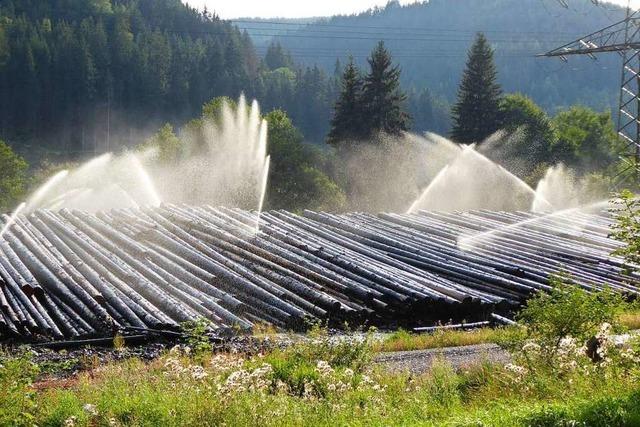 In Titisee-Neustadt werden ehemalige Nassholzlager reaktiviert