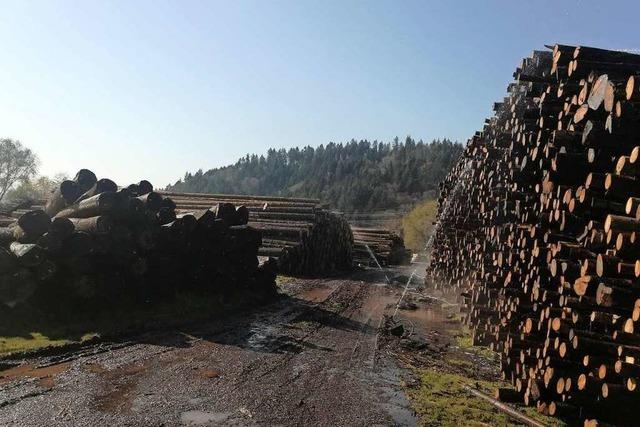 Auch der Holzmarkt leidet unter der Corona-Krise