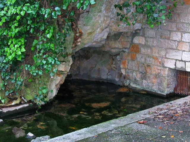 Die Quelle in Schlatt, hier auf einem ...erreicht zurzeit immer weniger Wasser.  | Foto: Karlheinz Scherfling