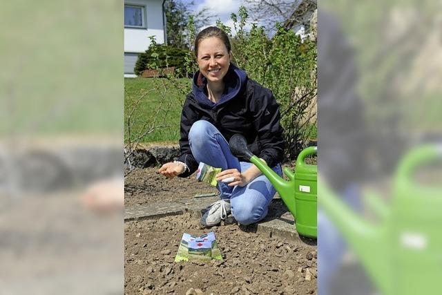 Bonndorfern blht schon bald etwas