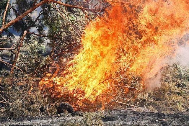 Feuerwehr lscht Flchenbrand in einem Waldstck in Grenzach-Wyhlen