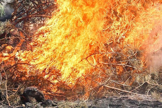 Dieses Bild zeigt einen Waldbrand in Sachsen aus dem Jahr 2018.  | Foto: Jan Woitas (dpa)